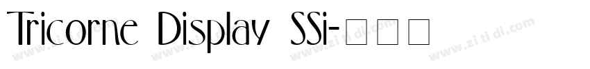 Tricorne Display SSi字体转换